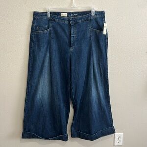 Anthropologie Pilcro High Rise Wide Leg Plus Size Pleated Jeans